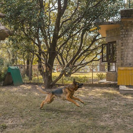 The Den Corbett Resort Chilkiya Range Exterior photo