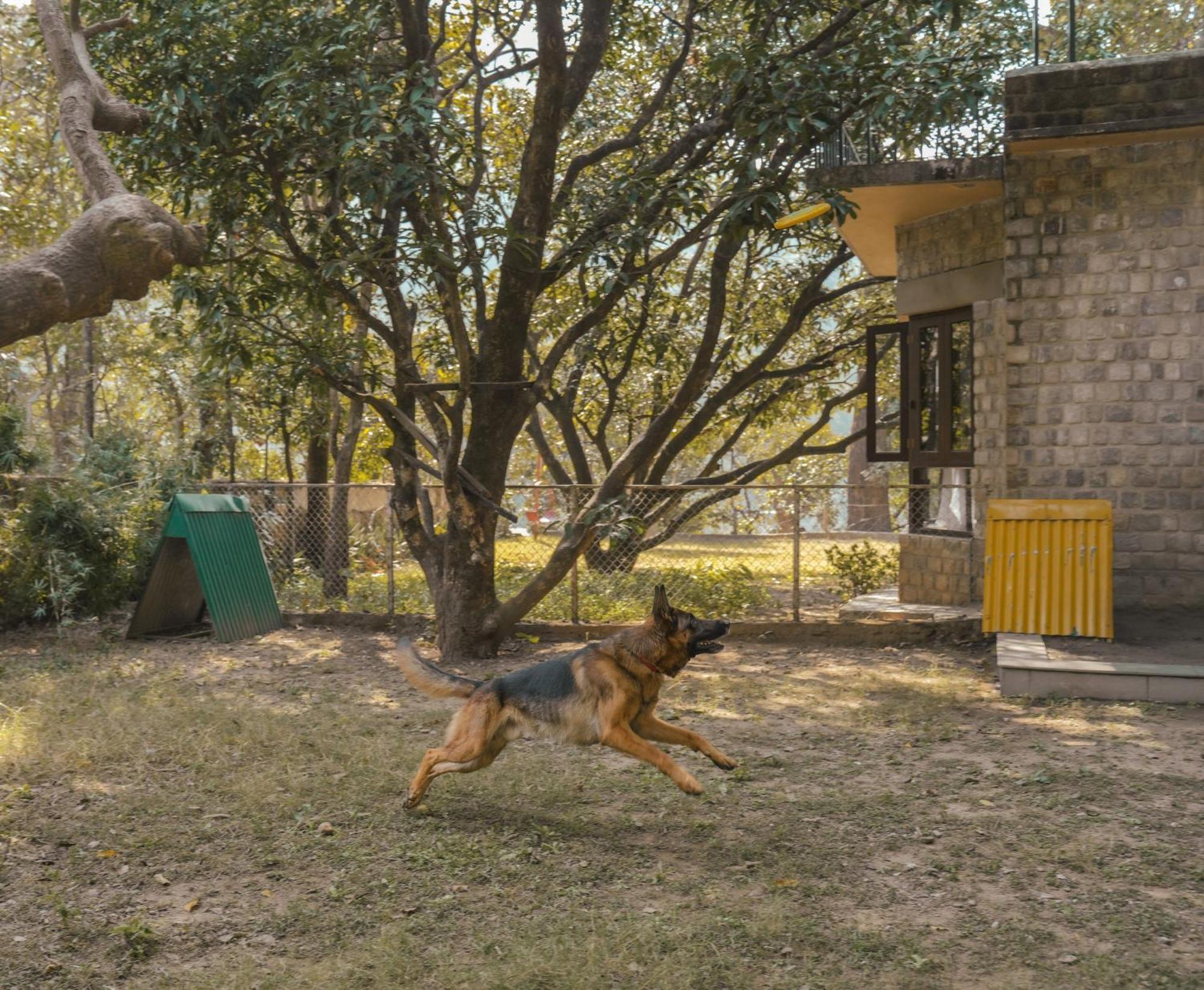 The Den Corbett Resort Chilkiya Range Exterior photo